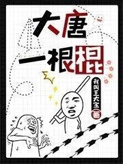 一个很暗很暗的暗卫有声书