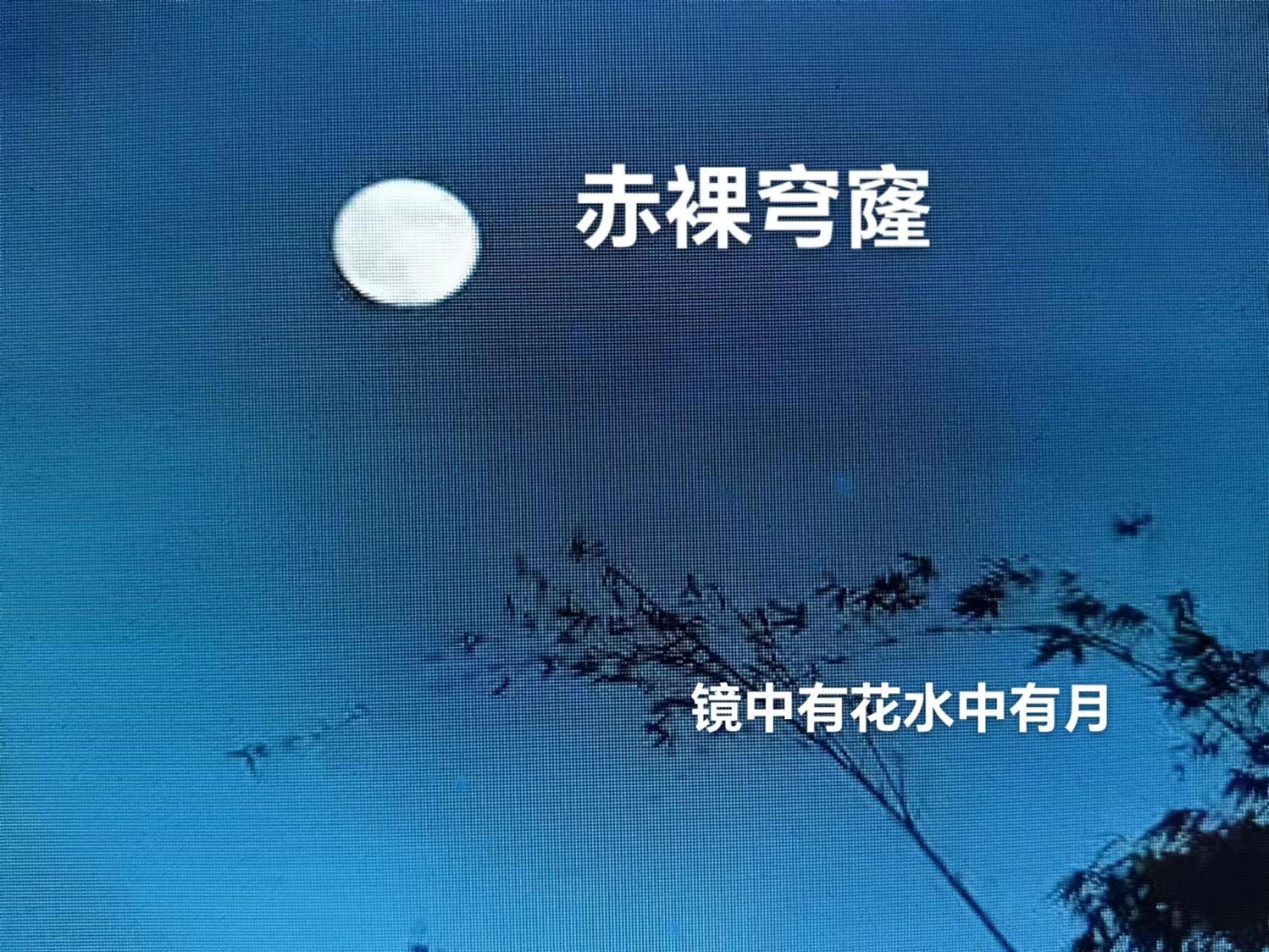 末世特种兵