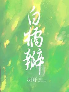 我的皇兄是先帝
