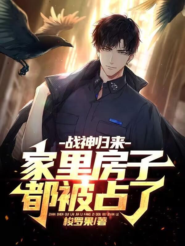四合院秦家养子