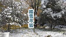 重生到女尊世界胎生