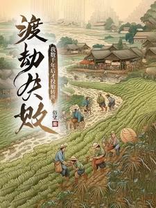 白月光离婚知乎