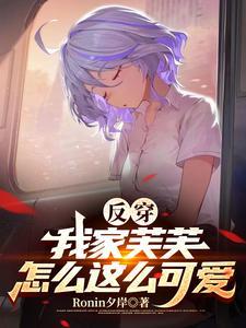 崩坏三替身