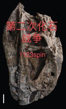 弃少女婿卓不凡txt