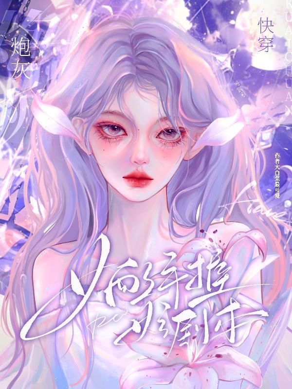 清朝穿越记全文阅读