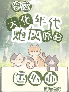 神奇宝贝之阿鹏至尊怎么没了