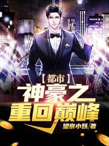 海贼王可可西亚村事件