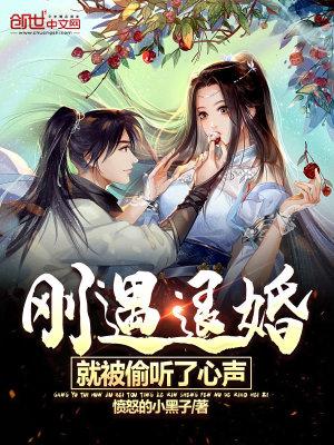 巡游x11