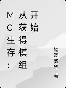 轮回之无限进化 秦老二