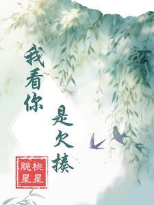 我的动画时代笔趣阁
