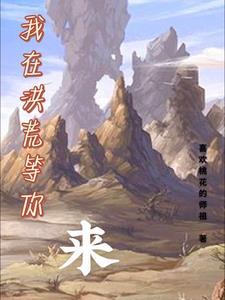 网游我火神