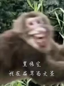 折枝花满衣百度百科