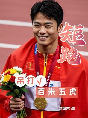 无敌村医系统