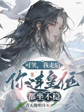 海雷丁mod攻略