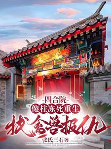 桃花岛和红楼书包