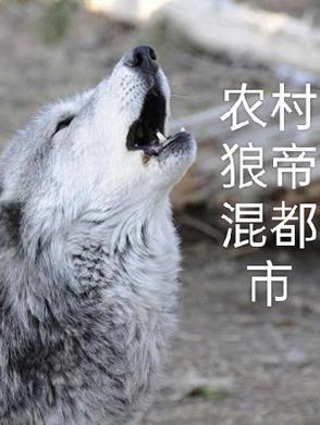 我只是个画符的笔趣阁在线阅读