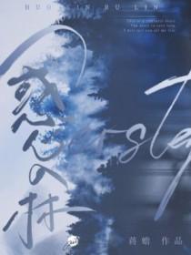 明末之白衣天子百度百科