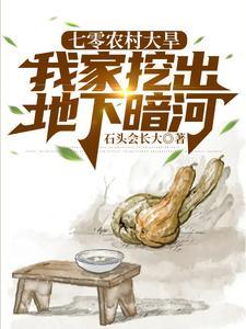 穿越六十年代小店主免费全本