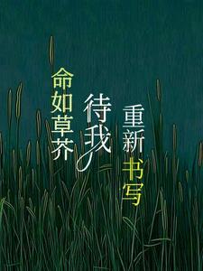 四合院开局坑了白眼狼棒梗免费阅读