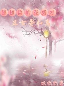 时风风云c小货车