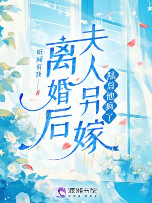 谍战我是宪兵队长在线阅读