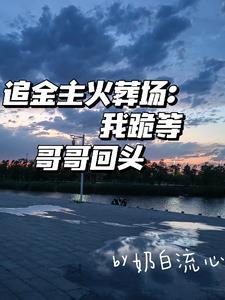 枪兵的逆袭
