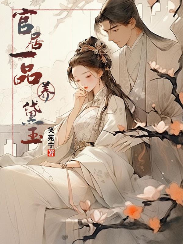 华云飞重生文